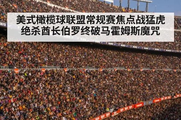 football stadium crowd