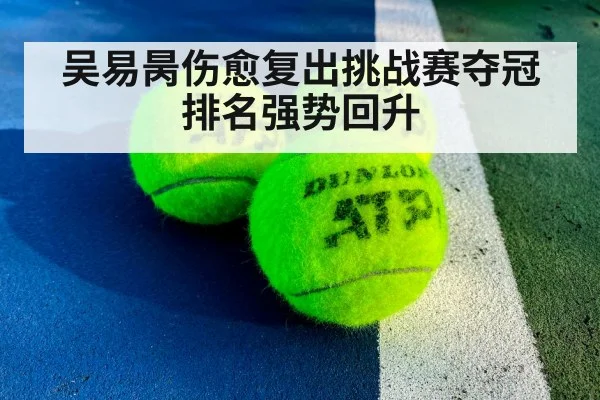 ATP tennis match action
