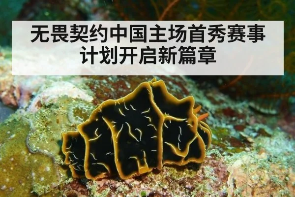 无畏契约中国主场首秀赛事计划开启新篇章